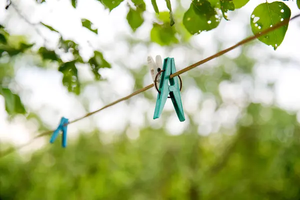 Espinhas Plástico Espinhas Roupa Plásticas Azuis Suspendem Sucessivamente Uma Corda — Fotografia de Stock