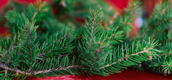 Fundo Natal Ramos Pinho Verdes Fundo Festivo Veludo Vermelho Composição — Fotografia de Stock