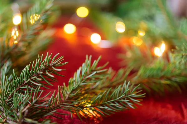 クリスマスの背景 赤いベルベットのお祝いの背景に緑の松の枝 境界線とコピースペース トップビューと創造的な組成 電球からのボケライトと新年の装飾 — ストック写真