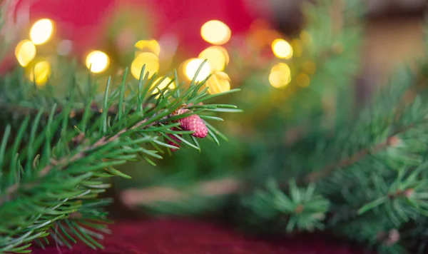 Weihnachten Hintergrund Grüne Tannenzweige Auf Rotem Samt Festlichen Hintergrund Kreative — Stockfoto