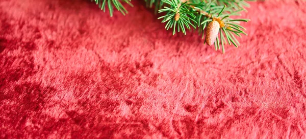 圣诞背景 绿色松枝在红色天鹅绒节庆背景 具有边框和复制空间的创造性构图 顶部视图 圣诞节 装饰品 — 图库照片