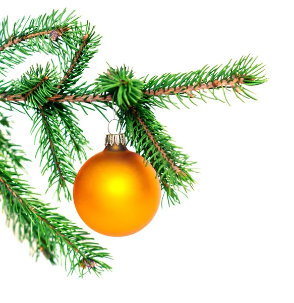 Fir Tree Branch White Isolated Background Close Gold Balls Christmas — Stock Photo, Image