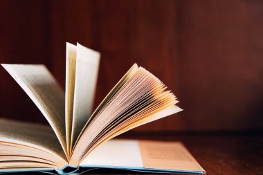 Yükseltilmiş sayfaları olan açık bir kitap. Bilginin ve bilgeliğin gücü. Metnin için yer.