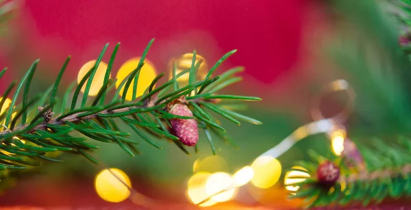 Weihnachten Hintergrund Grüne Tannenzweige Auf Rotem Samt Festlichen Hintergrund Kreative — Stockfoto