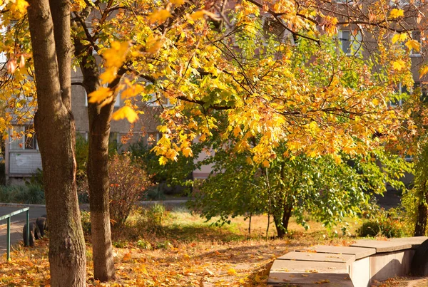 Autumn Landscape Urban Area — Stock Fotó