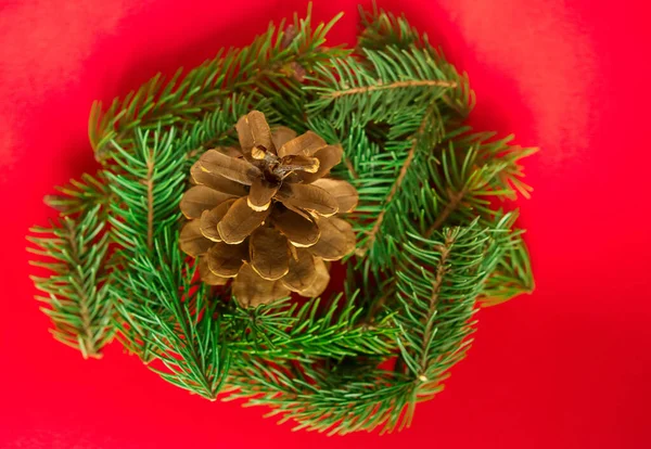 Tarjeta Navidad Cono Pino Corona Ramas Abeto Sobre Fondo Papel —  Fotos de Stock