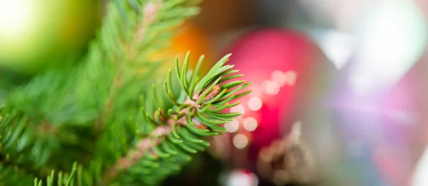 Weihnachtskugeln Und Kegel Kopierraum — Stockfoto