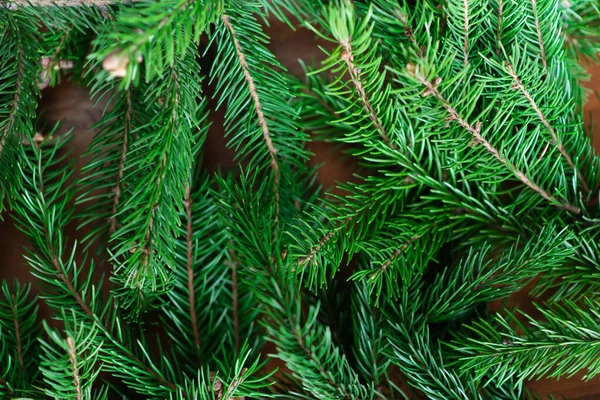 Bakgrund Gröna Gran Grenar För Jul Nyår Firande Gratulationskort Design — Stockfoto
