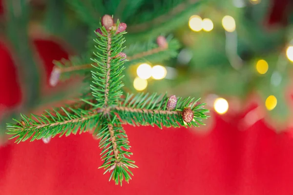 Weihnachten Hintergrund Grüne Tannenzweige Festlichen Hintergrund Kreative Komposition Mit Rahmen — Stockfoto