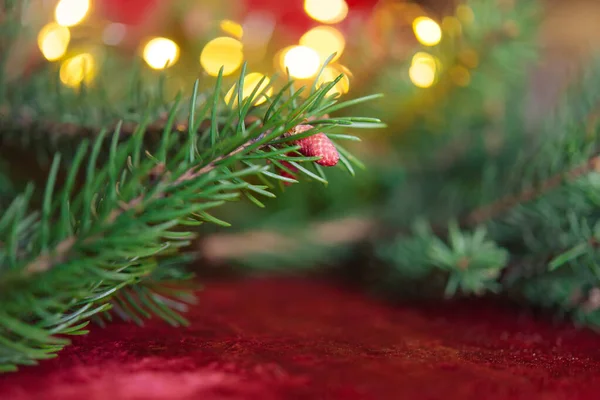 Weihnachten Hintergrund Grüne Tannenzweige Festlichen Hintergrund Kreative Komposition Mit Rahmen — Stockfoto