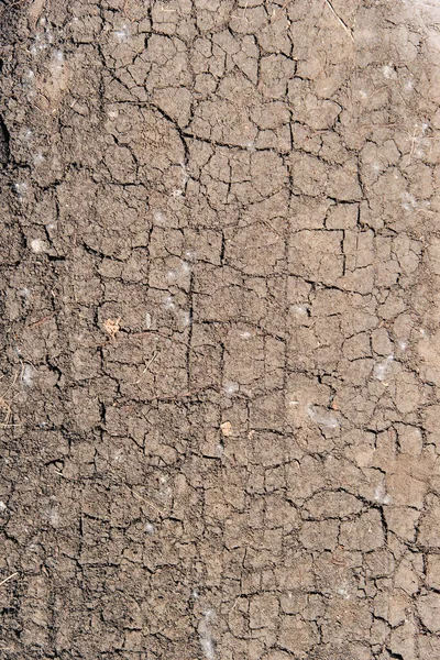 Текстура Сухого Тріщини Землі — стокове фото
