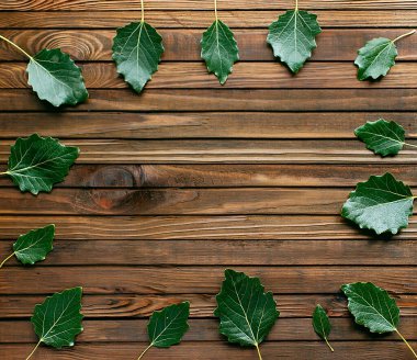 Ahşap arka planda yeşil yapraklar, üst manzara.