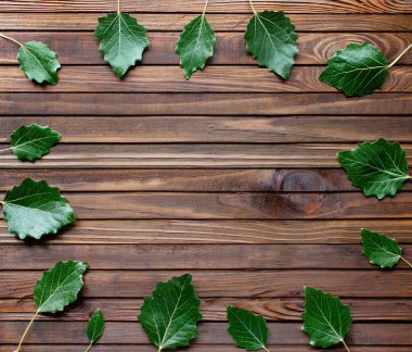 Ahşap arka planda yeşil yapraklar, üst manzara.