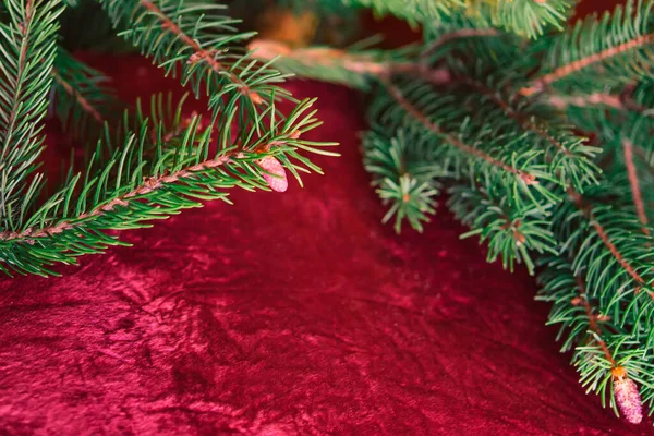 圣诞背景 绿色松枝与圆锥和圣诞球在红色背景 具有边框和复制空间的创造性构图 顶部视图 圣诞节 — 图库照片