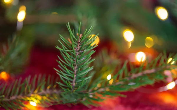 Weihnachten Hintergrund Grüne Tannenzweige Mit Zapfen Und Weihnachtskugeln Auf Rotem — Stockfoto