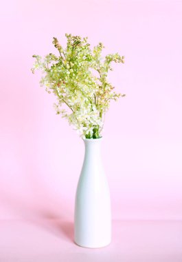 Pembe arka planda bir vazoda bir buket çayırkuşu (Latin Filipndula).