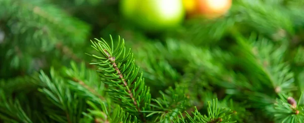 Weihnachten Hintergrund Grüne Tannenzweige Festlichen Hintergrund Kreative Komposition Mit Rahmen — Stockfoto