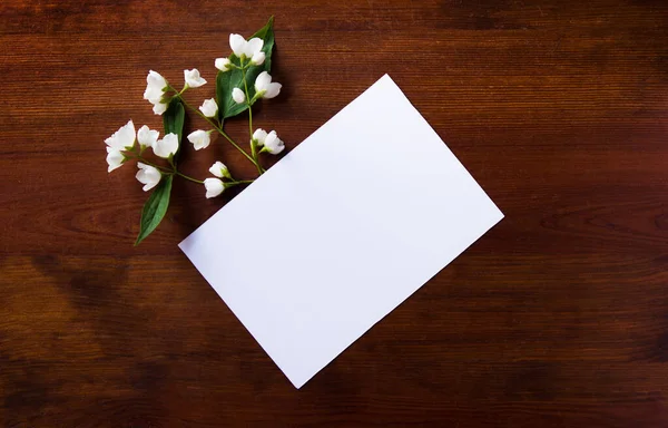 Gyönyörű Fehér Jázmin Virágok Képeslap Kilátás Fentről Fénymásolási Hely Esküvő — Stock Fotó