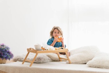 Kot mavisi elbiseli şirin küçük kız. İçinde kruvasan var. Kahvaltıda. Işık odası. Avrupa yarışı.