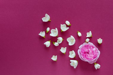 Güzel pembe gül ve kırmızı arka planda beyaz yasemin çiçekleri. Düğün, doğum günü, parti ya da diğer kutlamalar için fotokopi odası olan daire..