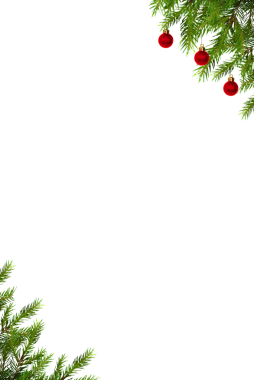 Şeffaf arkaplanda kırmızı topları olan Noel ağacı dalları ile dikey çerçeve