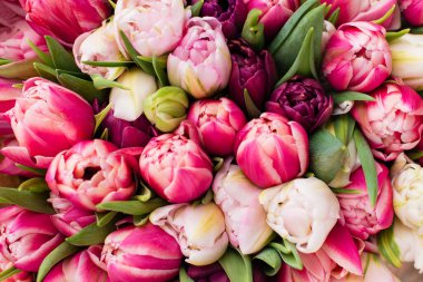 Renkli laleler. Güzel bir buket çiçeğin arka planı