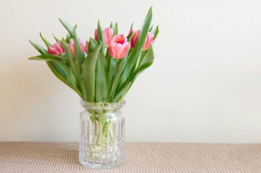 Pastel arka planda şeffaf vazoda taze pembe laleler. Hayat güzel bahar çiçekleriyle dolu, afişler kopya alanlarıyla dolu