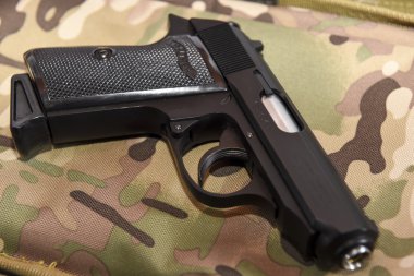 Walther ppk multicam geri