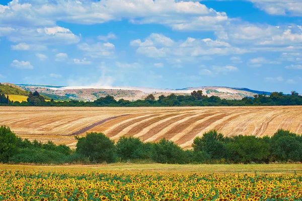 Agricultural Fields in Bulgaria — Stock Photo, Image