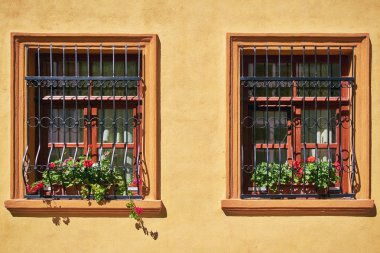 Windows ile çiçekler