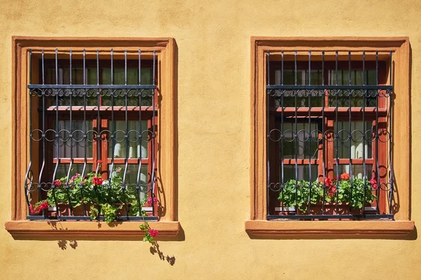 Windows ile çiçekler — Stok fotoğraf