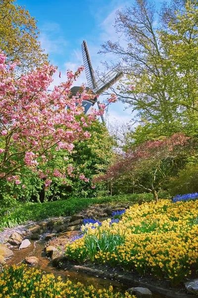 Spring in Netherlands — Stock Photo, Image