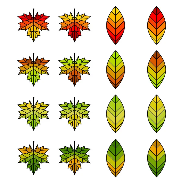 Herfstblad Set voor ontwerpen — Stockvector