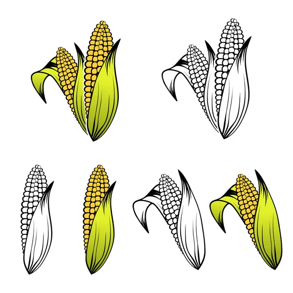Colección de conjunto de maíz — Archivo Imágenes Vectoriales