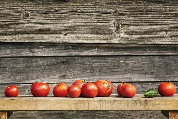 Fila Tomates Banco Contra Fundo Madeira — Fotografia de Stock