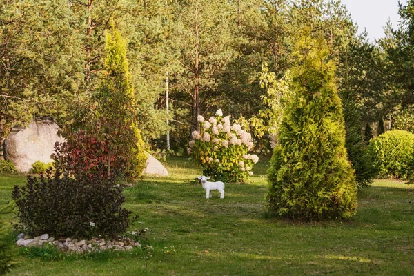 Figura Una Oveja Jardín — Foto de Stock
