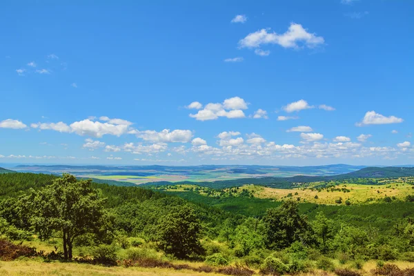 Landscape — Stock Photo, Image