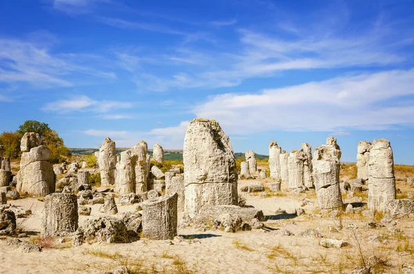 Taş Ormanı