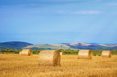 haystacks