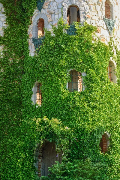 Torre do castelo — Fotografia de Stock