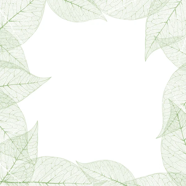 Green Leaves Frame — Stock Vector