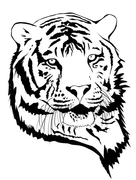 Portrait de tigre — Image vectorielle