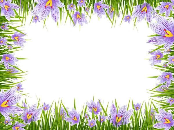 Spring Crocus Border — Stock Vector