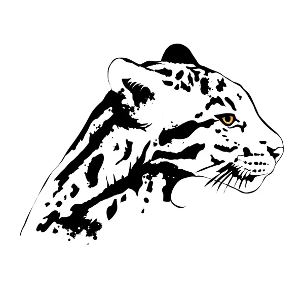 Jaguar — Stockvector