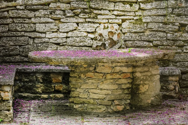 Table in the Garden — Stock Photo, Image