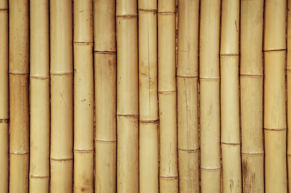 Ein Bambushintergrund — Stockfoto