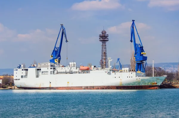 Livestock Carrier Ship — Stock Photo, Image