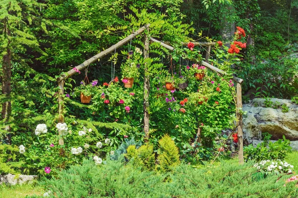 Flores en el jardín — Foto de Stock