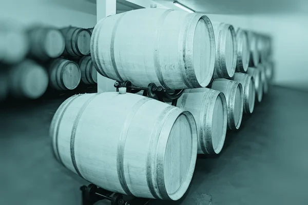 Barrels of Wine — Stock Photo, Image