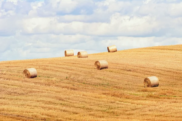 Heuhaufen auf dem Feld — Stockfoto